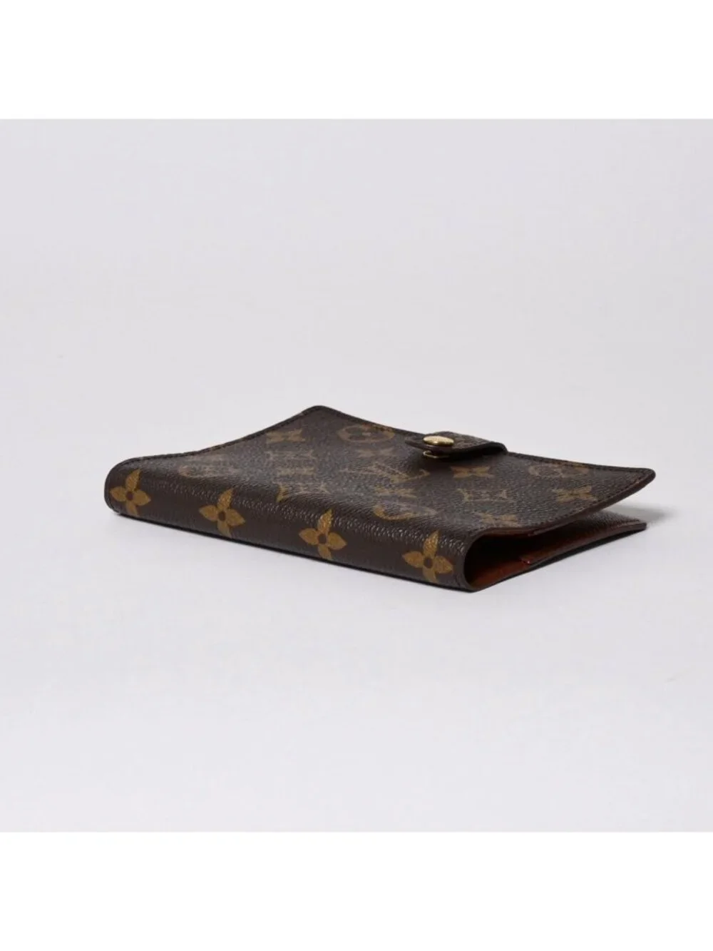 Louis Vuitton brand louis