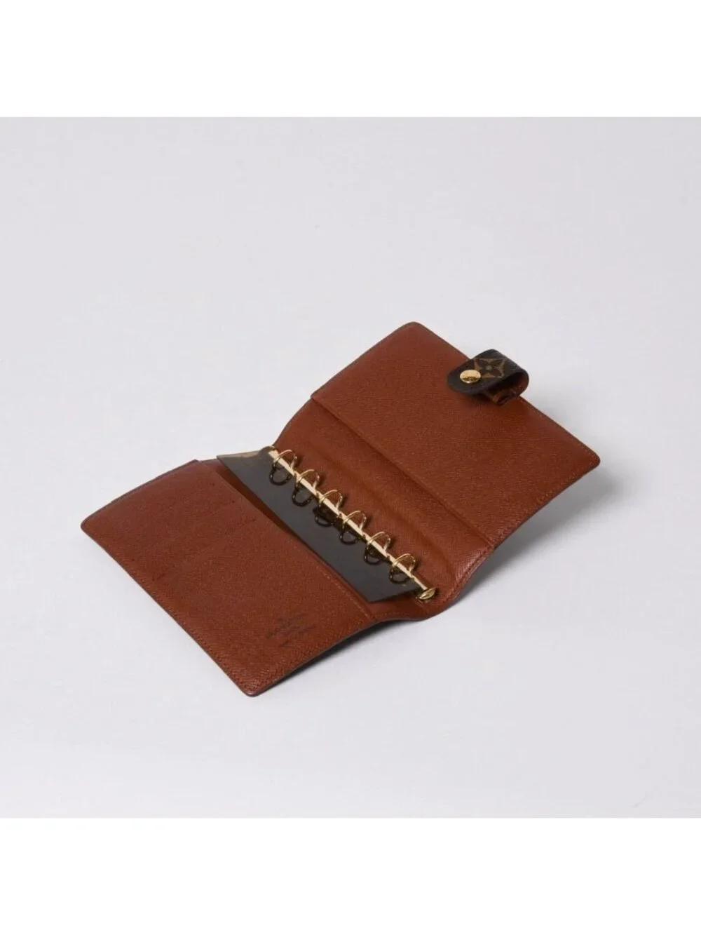 Louis Vuitton brand louis