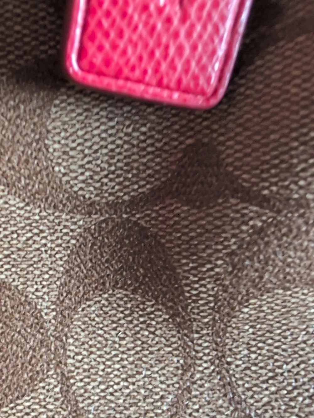 Coach iconic signature
