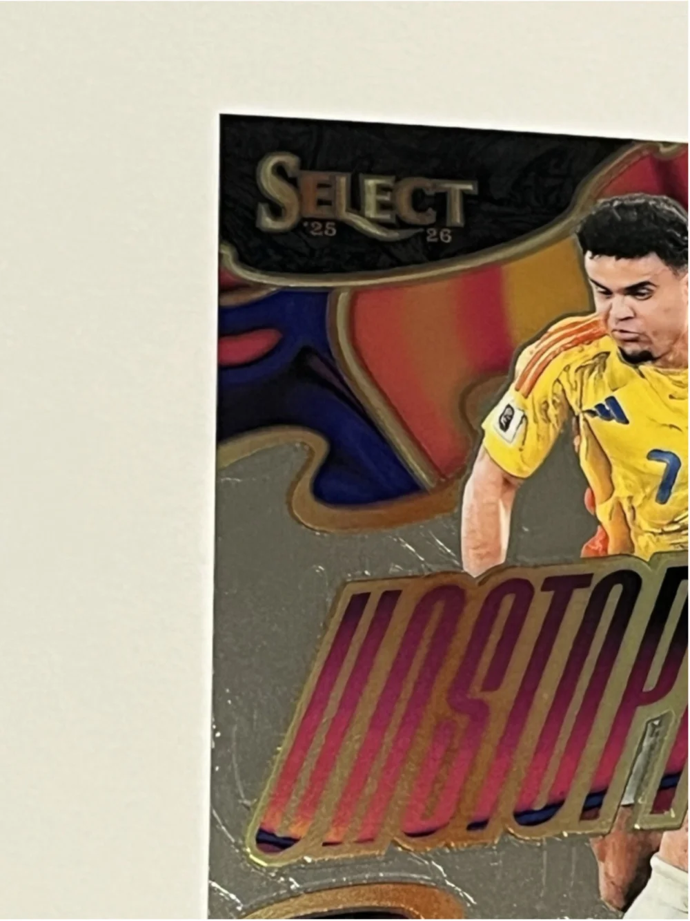 Panini product 2025