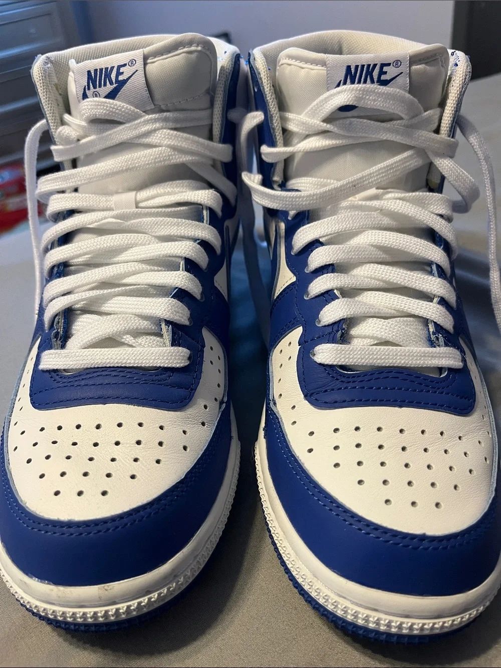 Nike terminator high