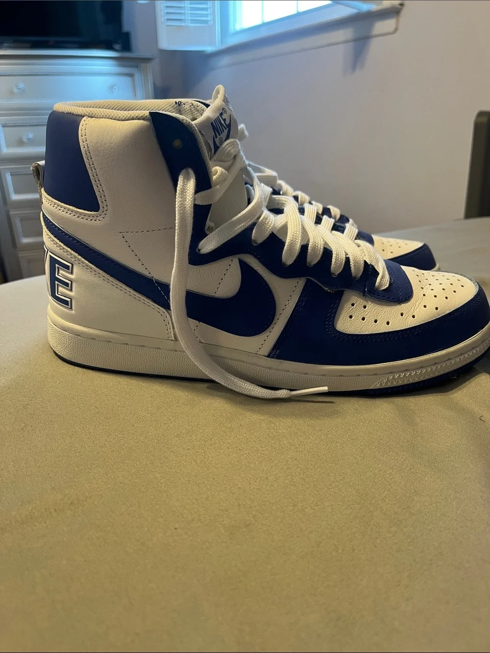 Nike Terminator High “Game Royal” sneakers