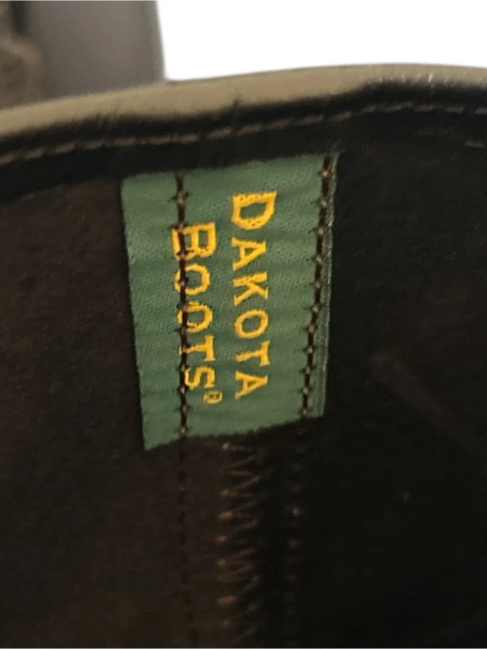 Dakota valverde delcamino