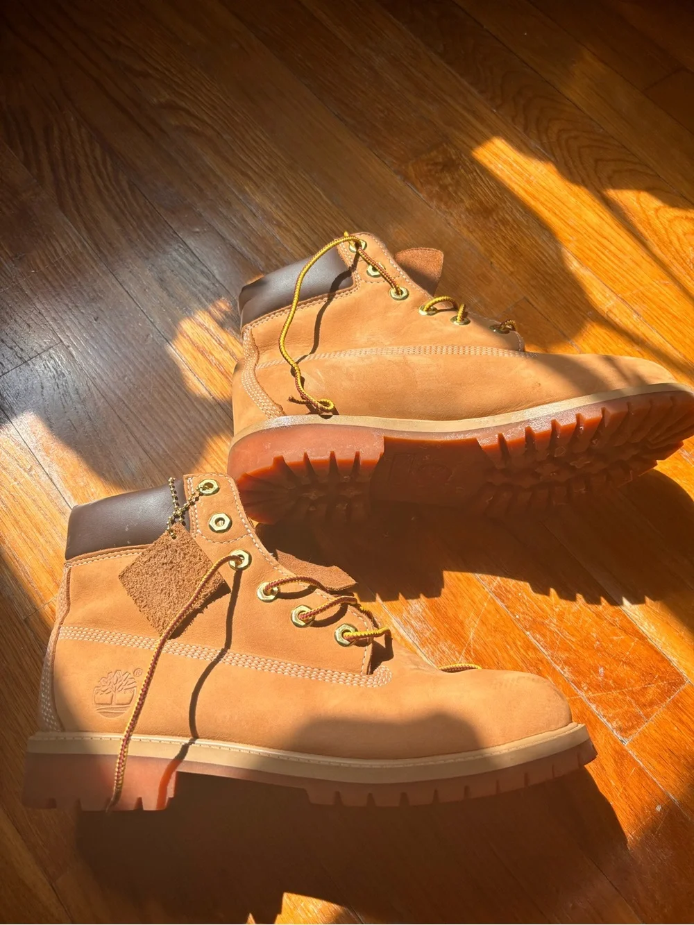 Timberland classic lace