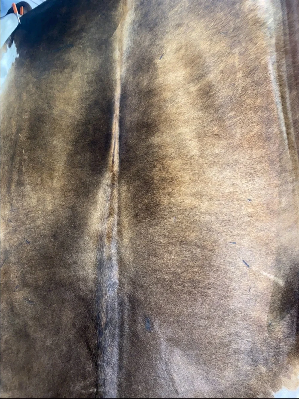 Cowhide authentic genuine