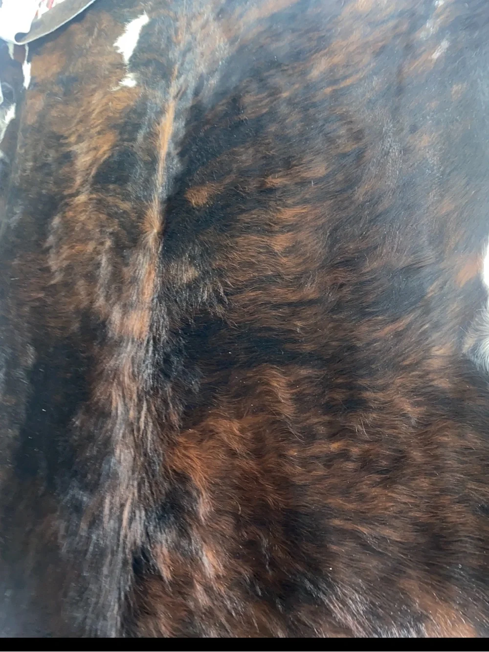 Cowhide authentic genuine