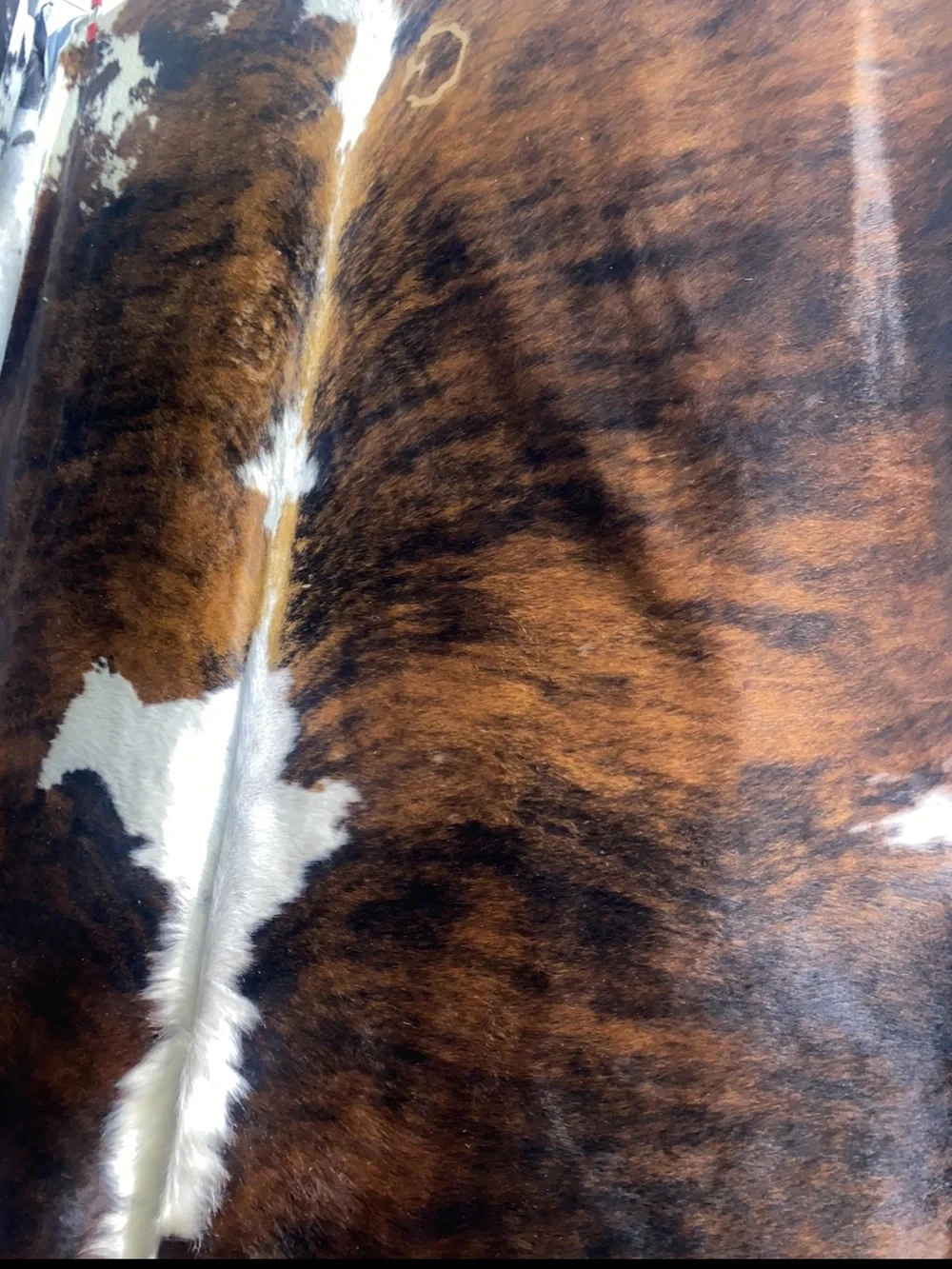 Cowhide authentic genuine