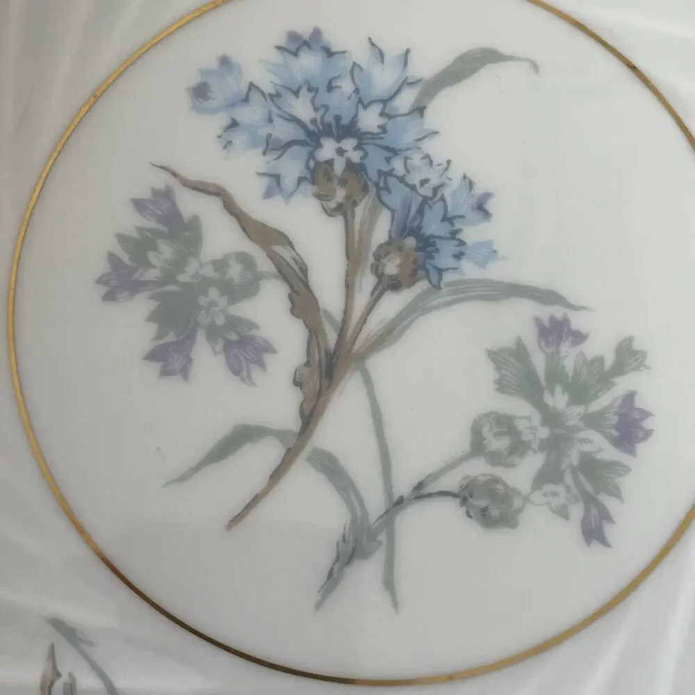 Haviland lot vintage