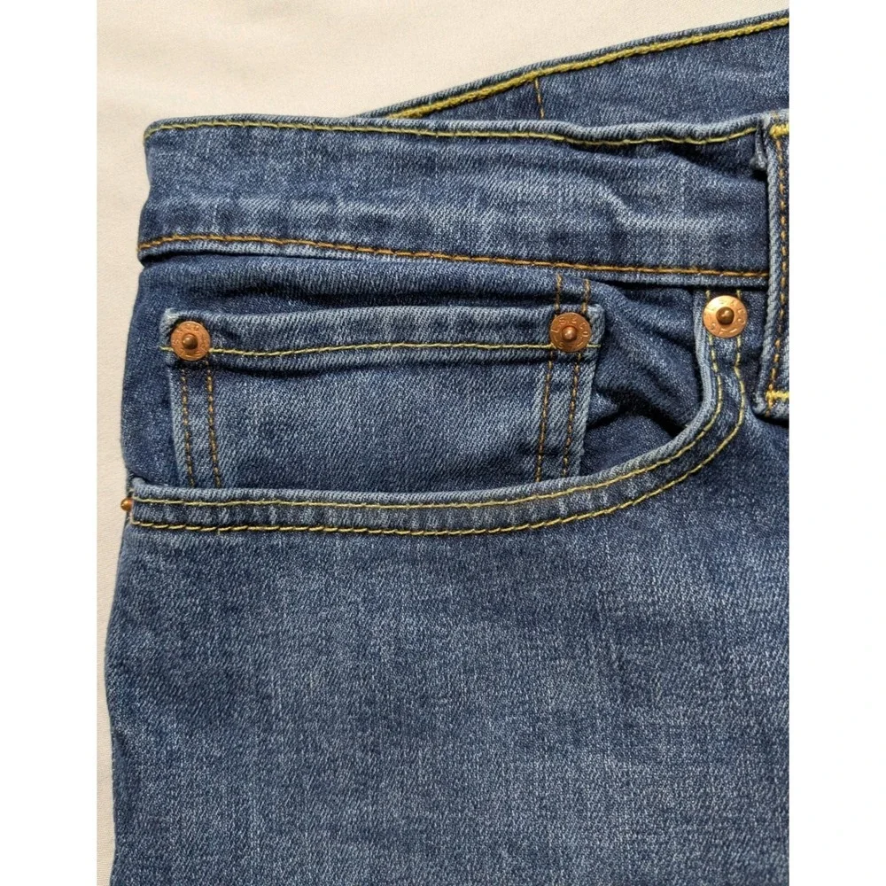 Levis levis 541