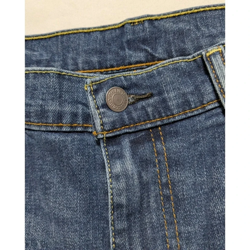 Levis levis 541