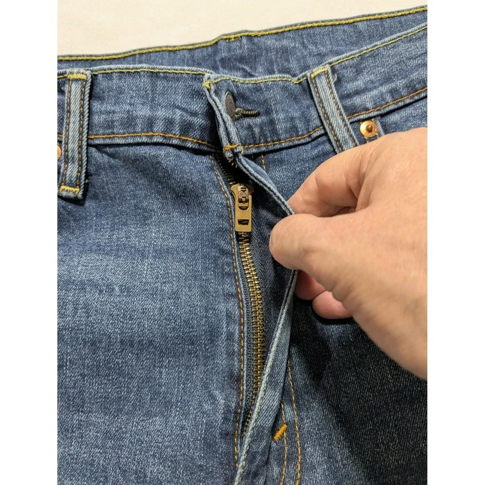 Levis levis 541
