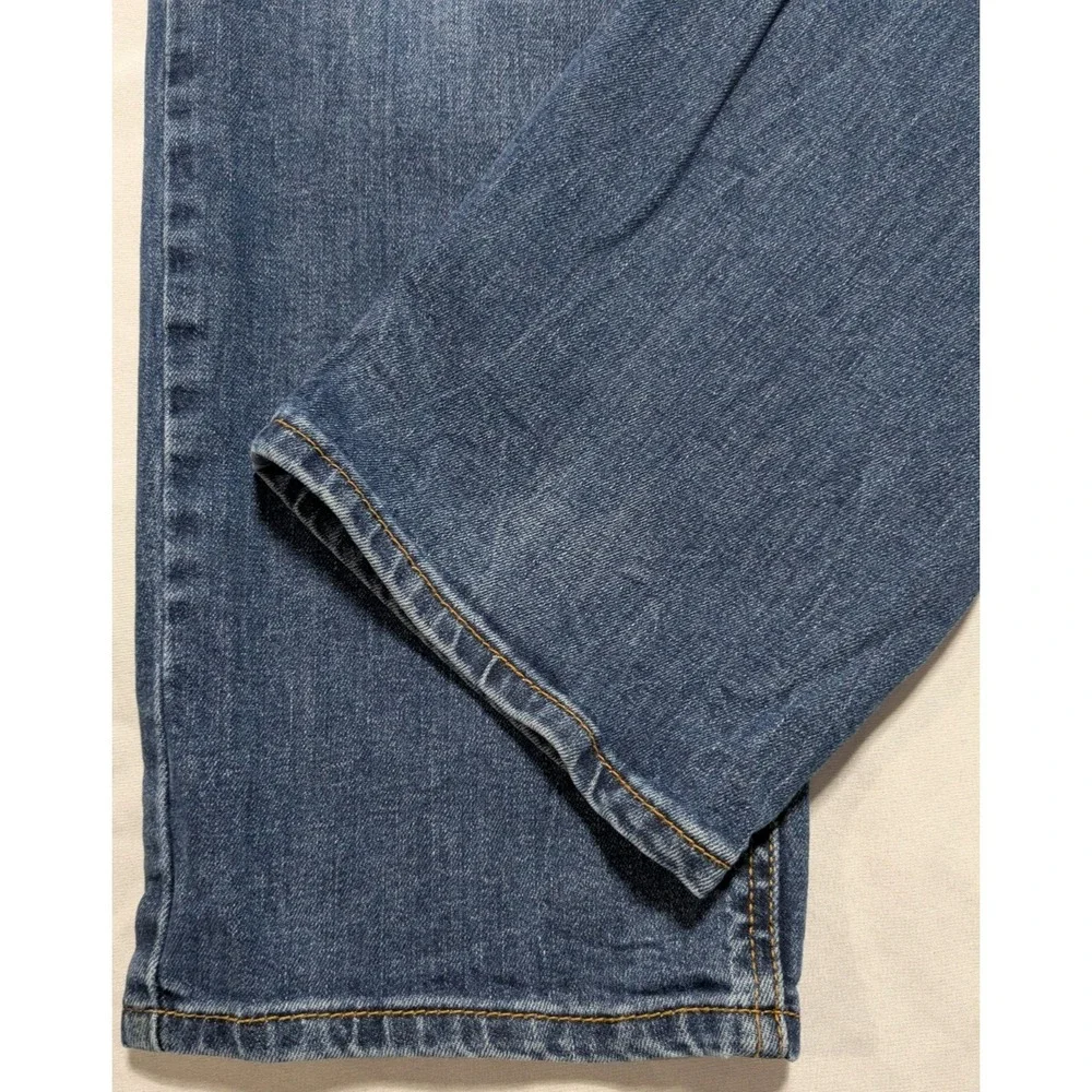 Levis levis 541