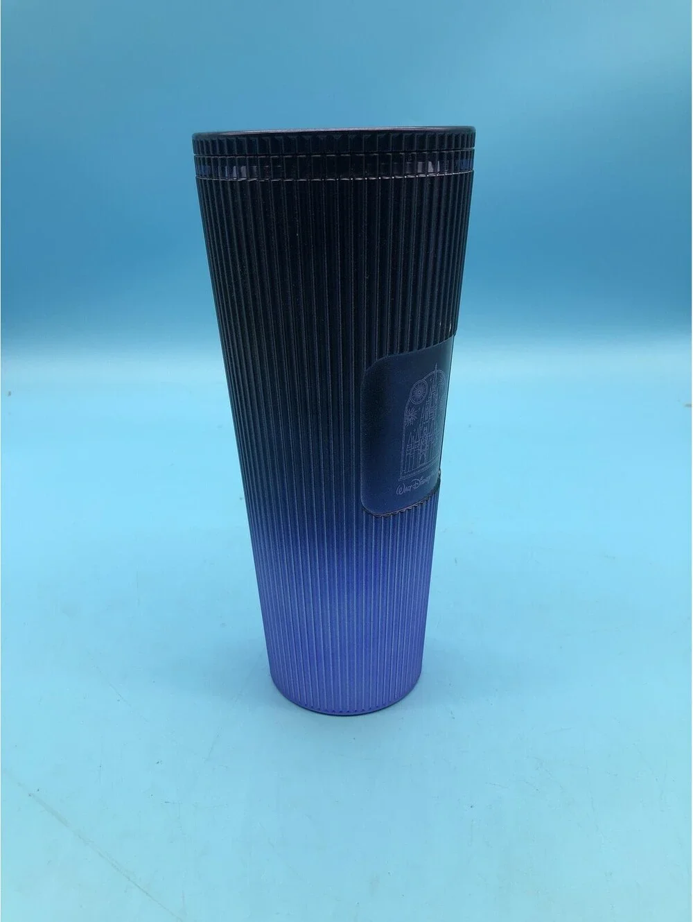 Starbucks Walt Disney World Purple Gradient Cold Tumbler Plastic Lid Castle