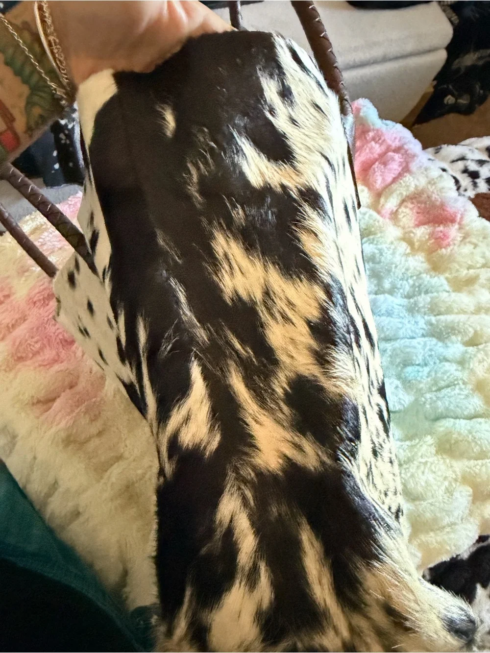 Source Unknown leather cow