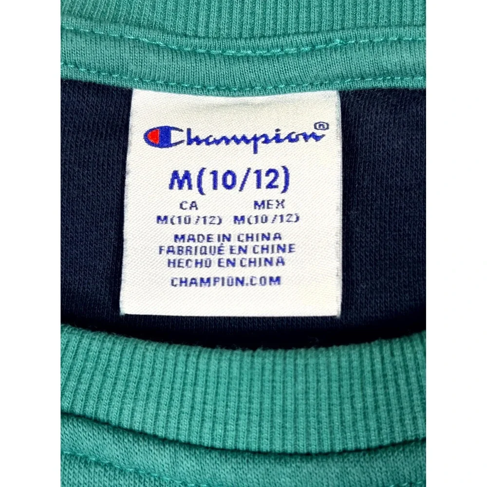 Champion description sweatshirt