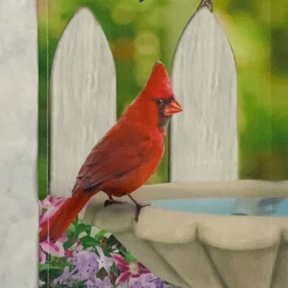The Backyard garden flag