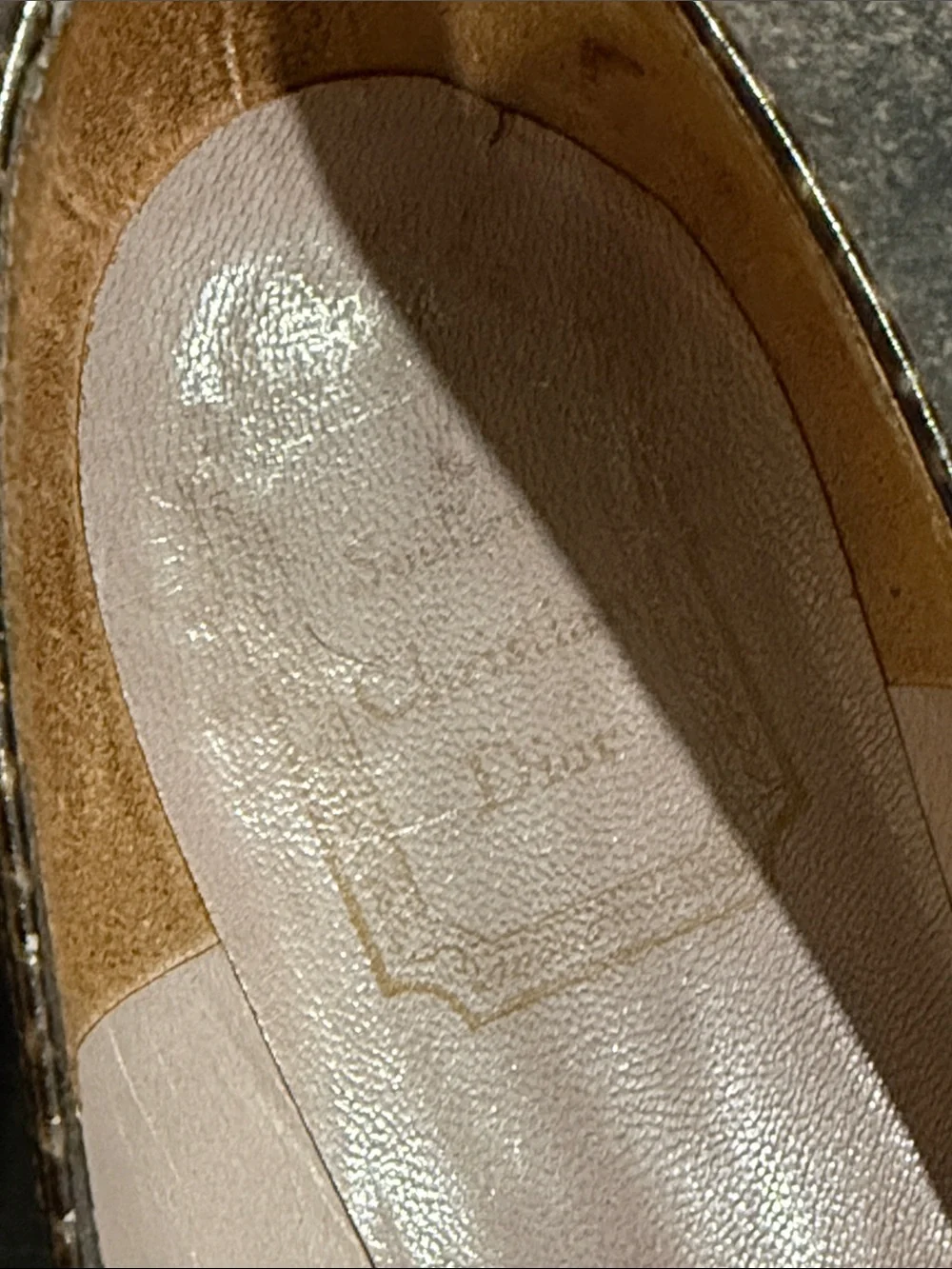 Dior reposhing this