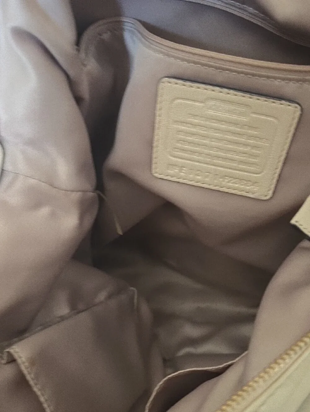 Coach soft cream