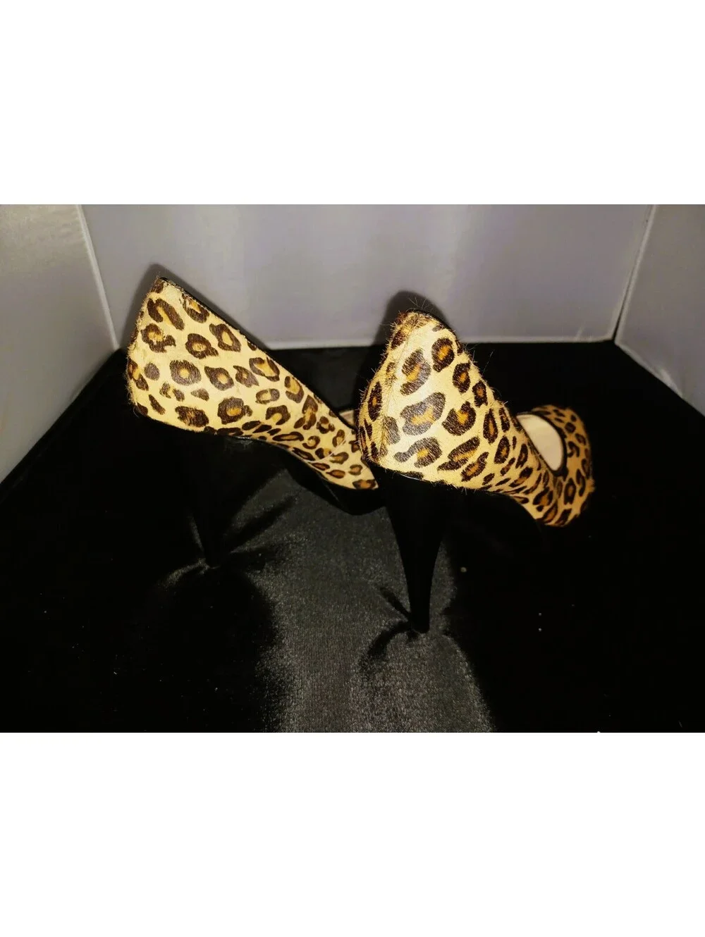 Guess these leopard
