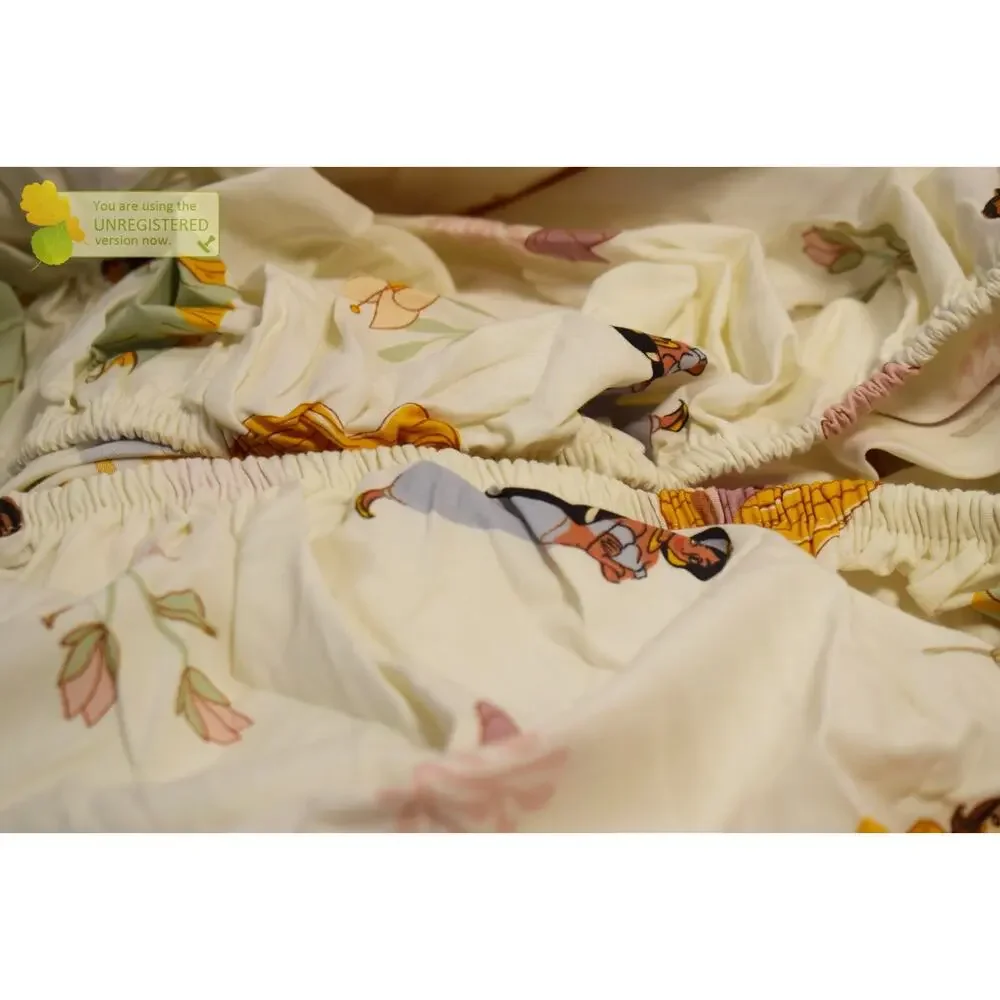 Pillowfort disney princess