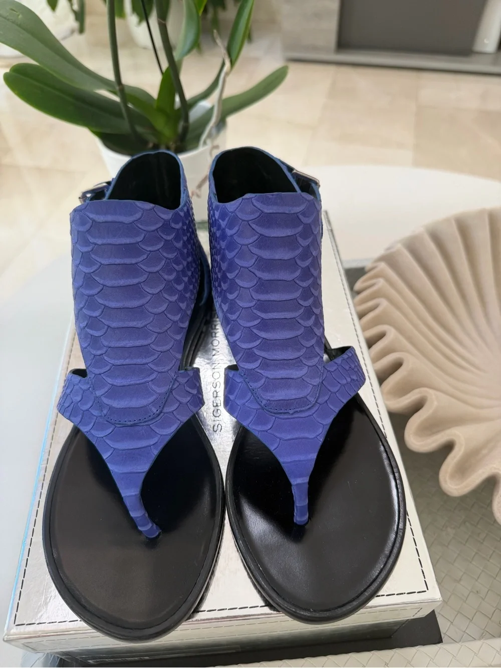 Sigerson Morrison stylish women