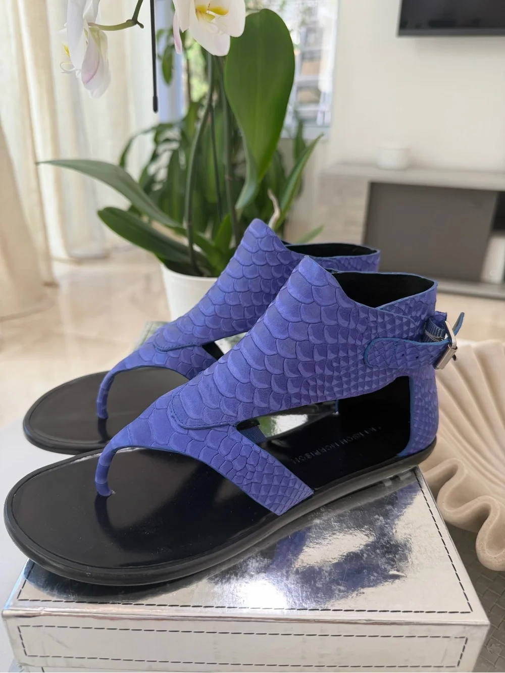 Sigerson Morrison stylish women