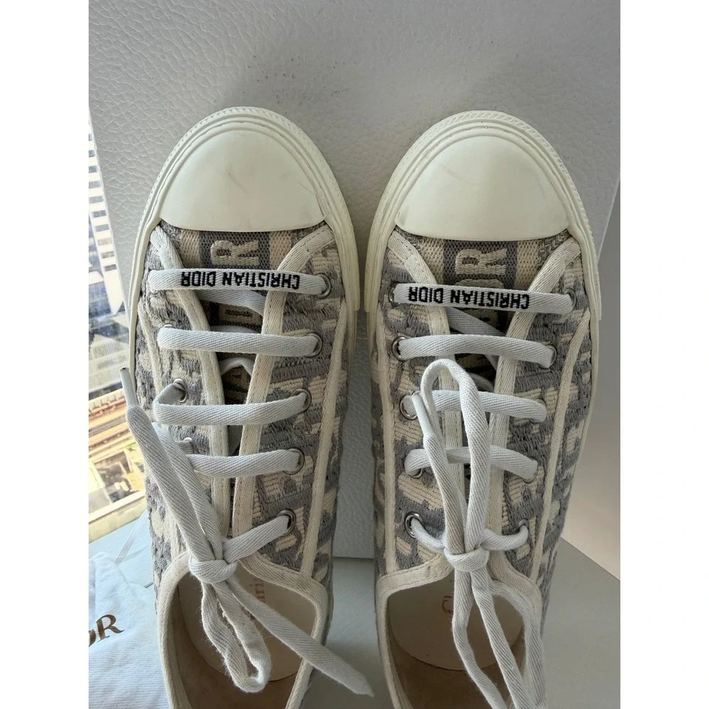 Dior authentic walk