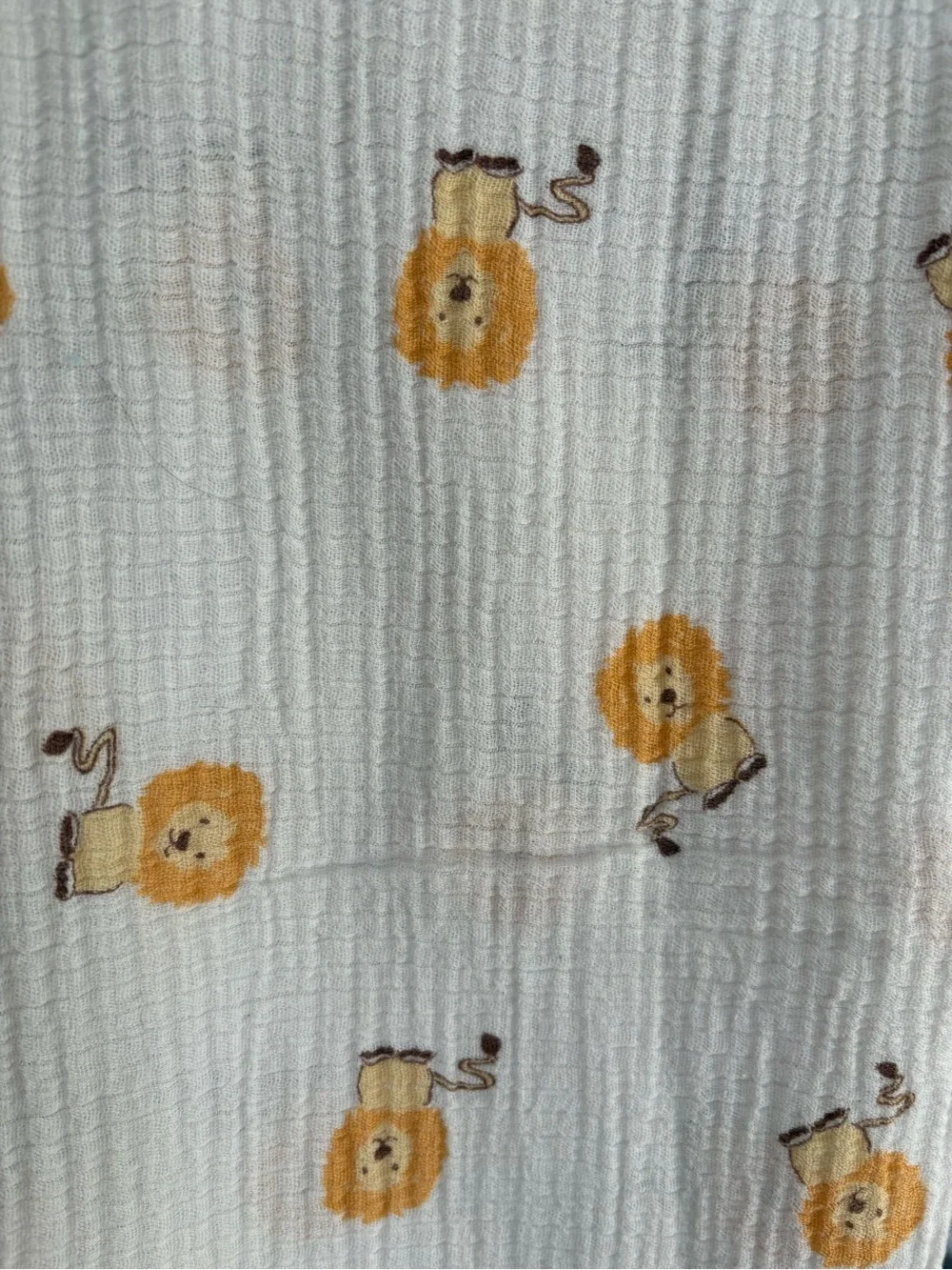 aden + anais 100% cotton Swaddle blankets (set of 2)