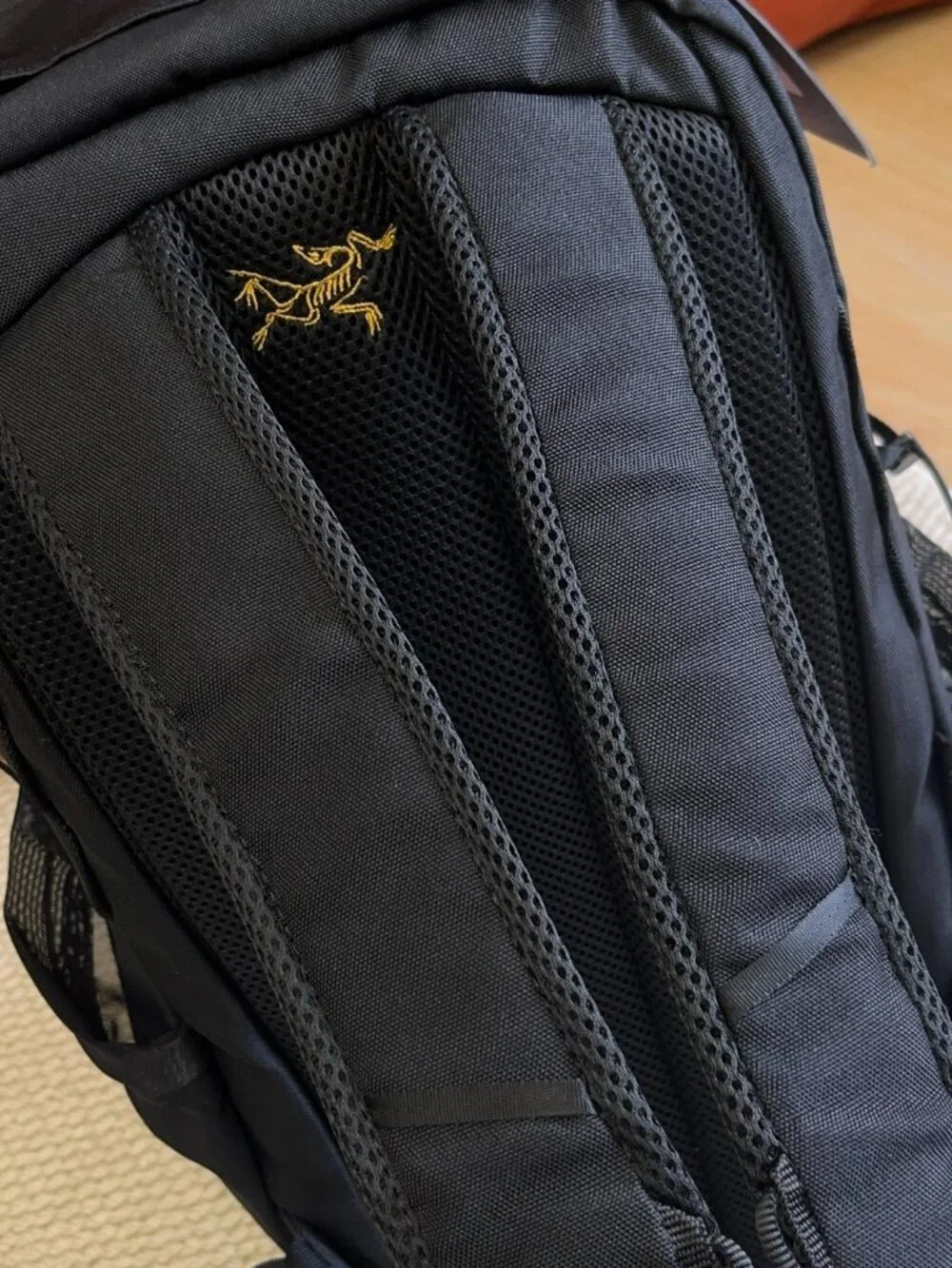 Arcteryx unisex arc