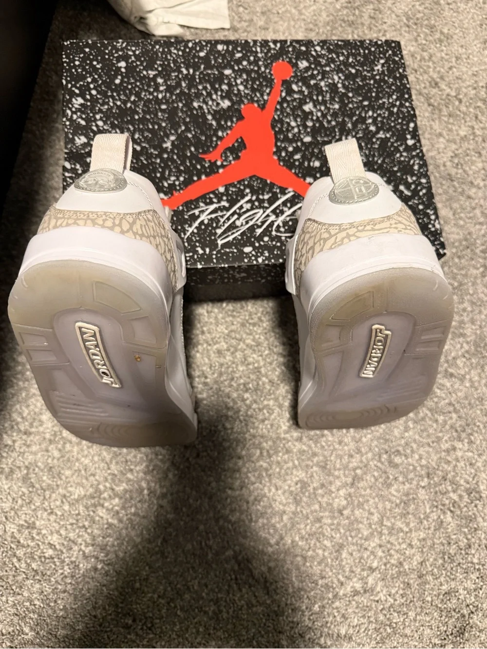Jordan air spizike