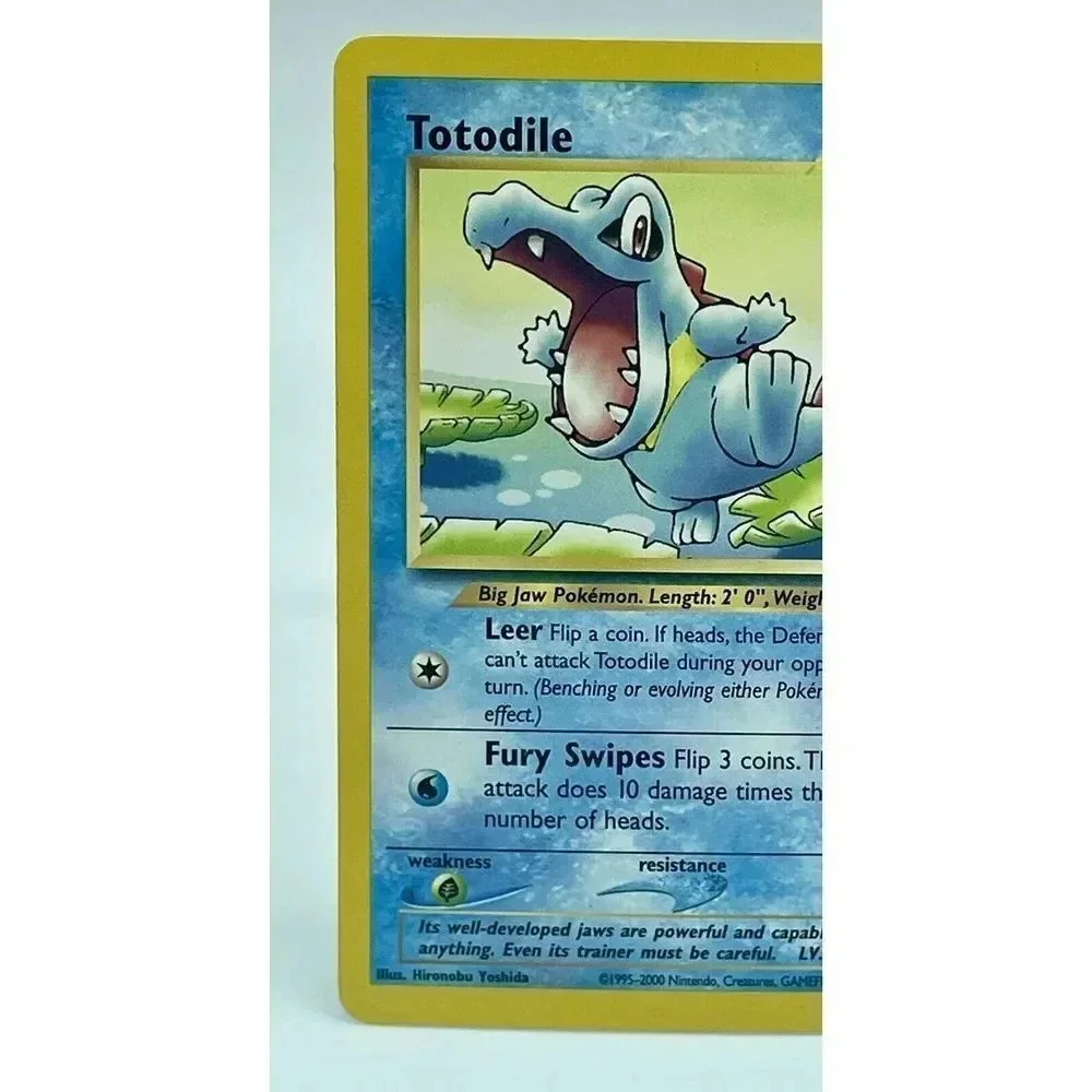 Pokemon this totodile