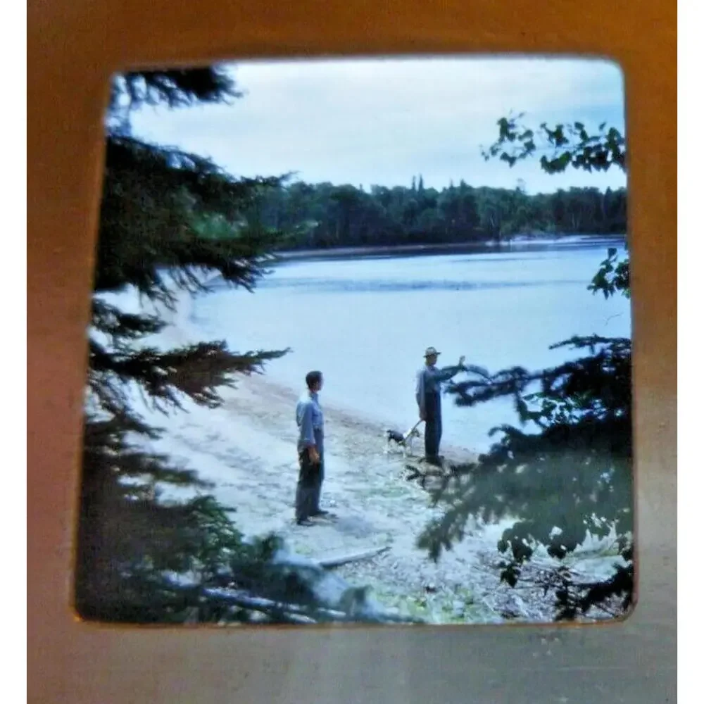 Vintage 1949 Stereo Slide Brush Island Swimming Beach Men Dog Photography‎ 1949