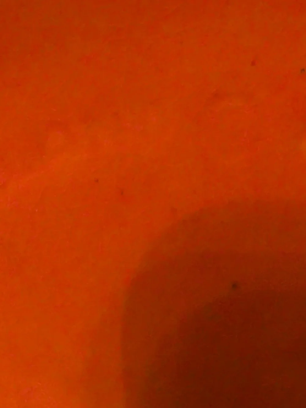 Holland Mold pair vivid