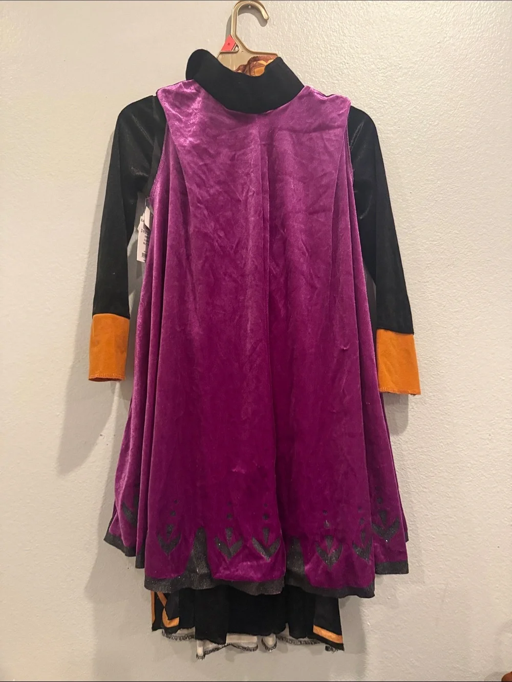 Disney anna frozen