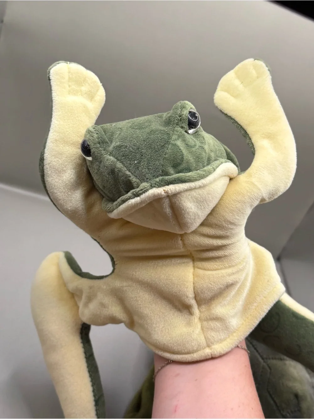 Folkmanis Frog Puppet Turtle Puppet Plush Lot Stuffed Animal Learning Toys