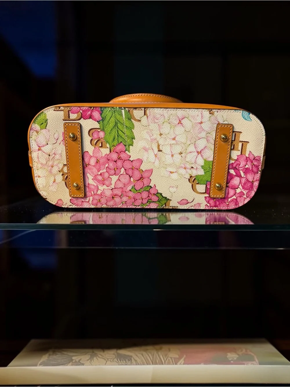 Dooney & Bourke absolutely gorgeous