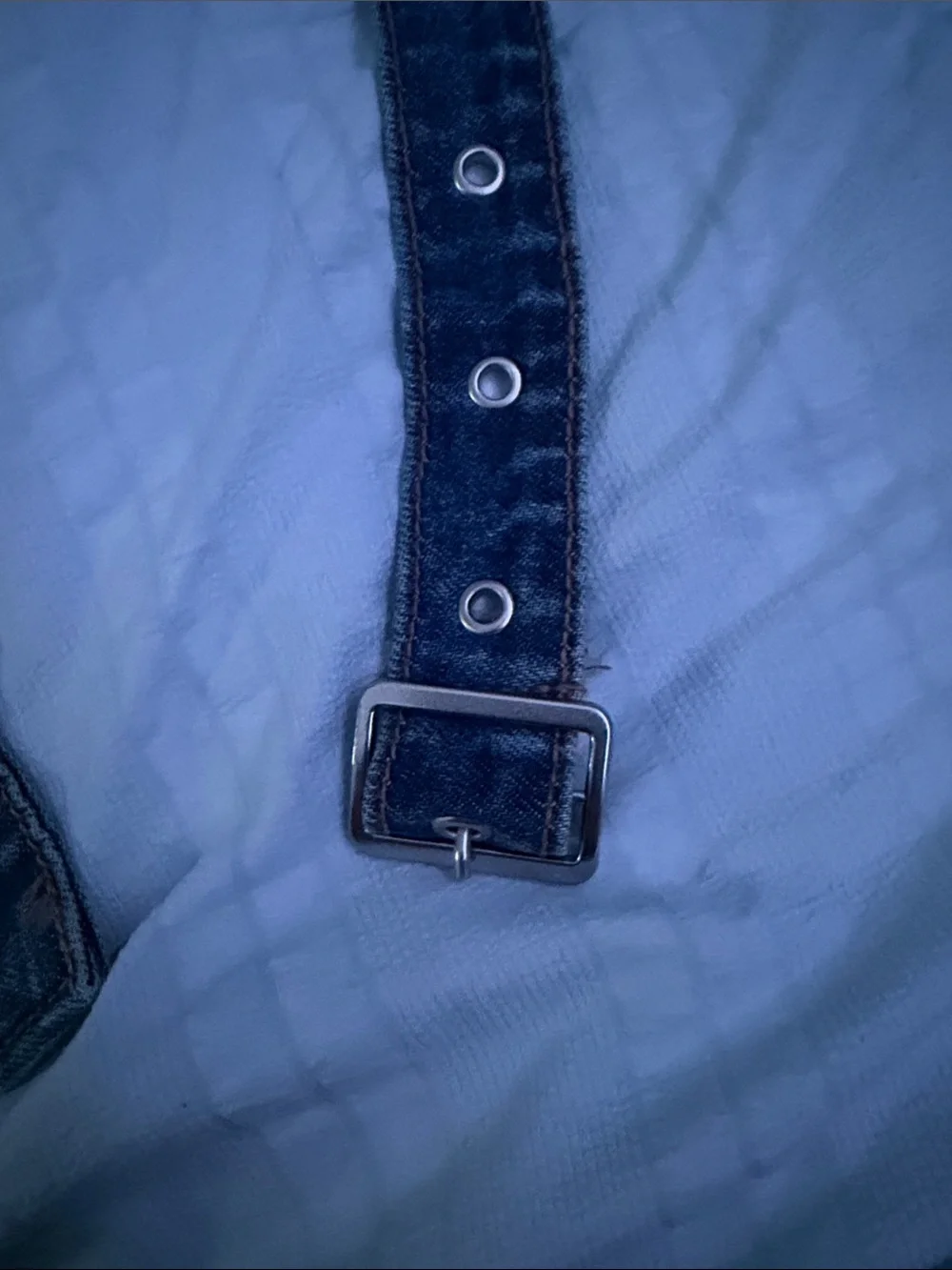 American Eagle Outfitters grommet fabric buckle