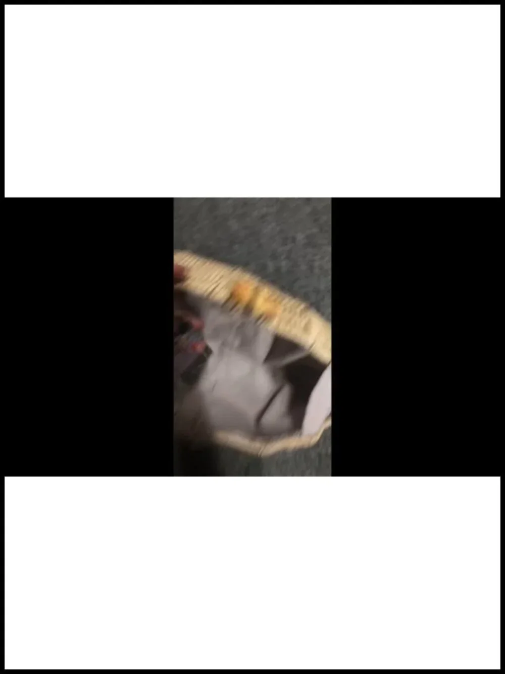 N/A this shell