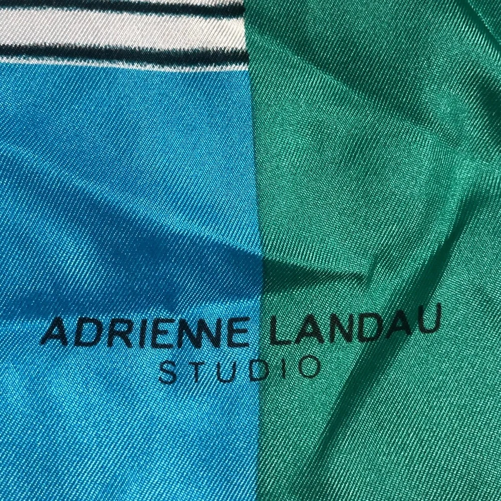 Adrienne Landau adrienne landau
