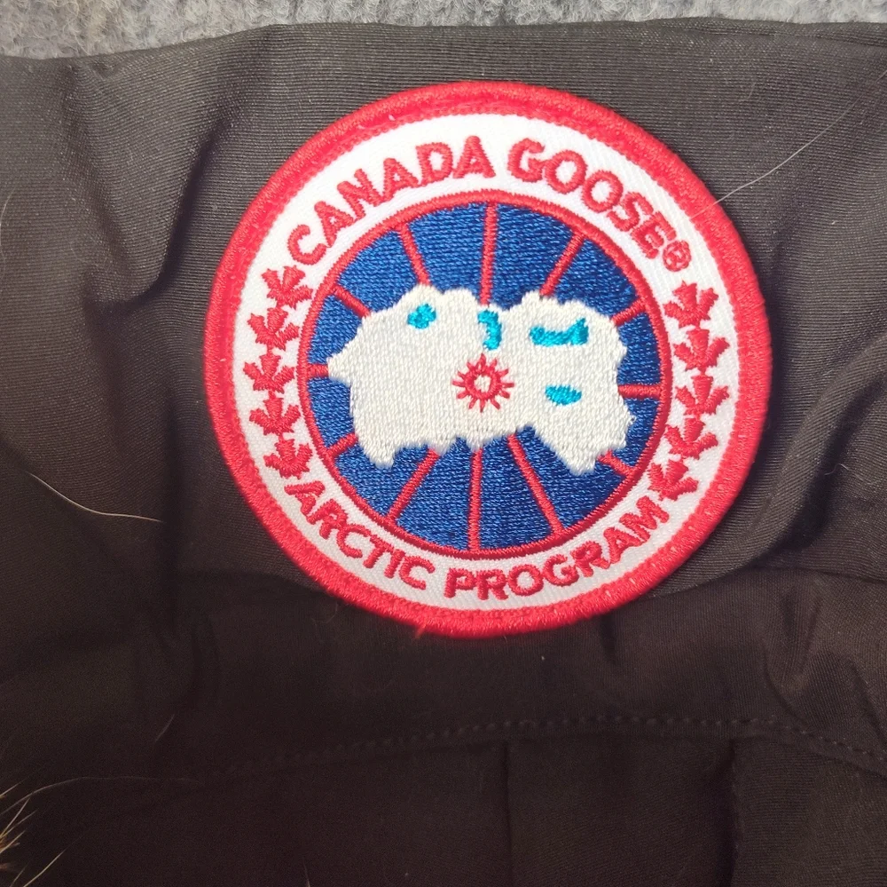 Canada Goose black goose
