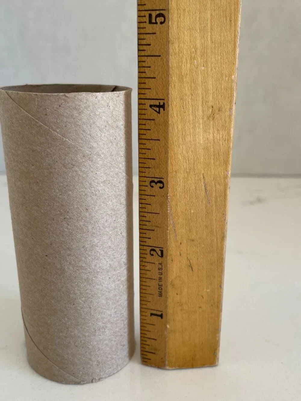 30 Empty Toilet Paper Rolls Cardboard Tubes Craft Art Project School Camp Kids