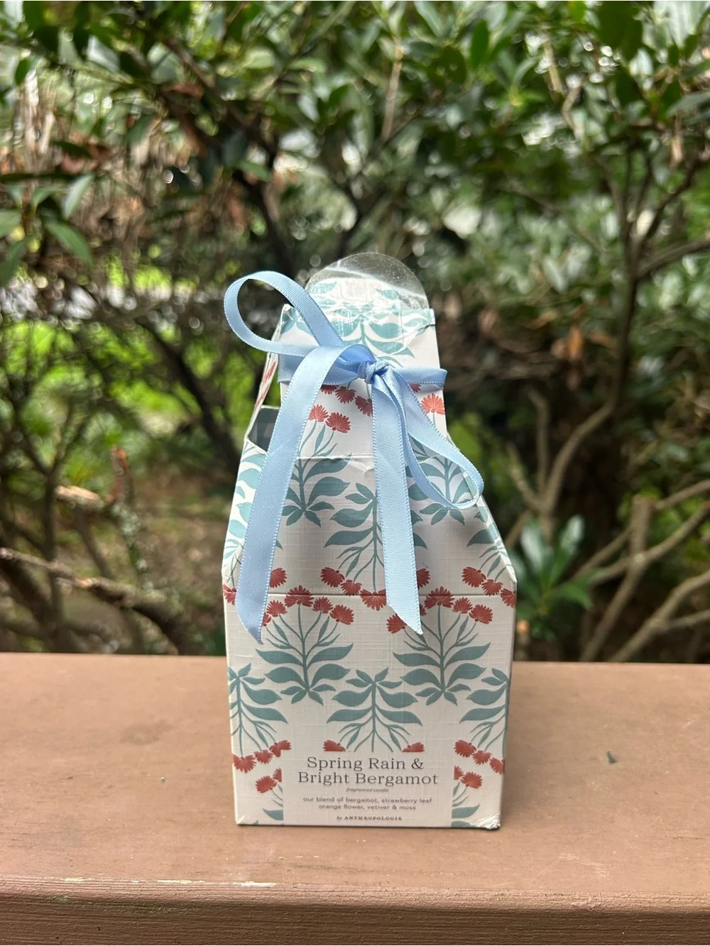 Anthropologie spring rain