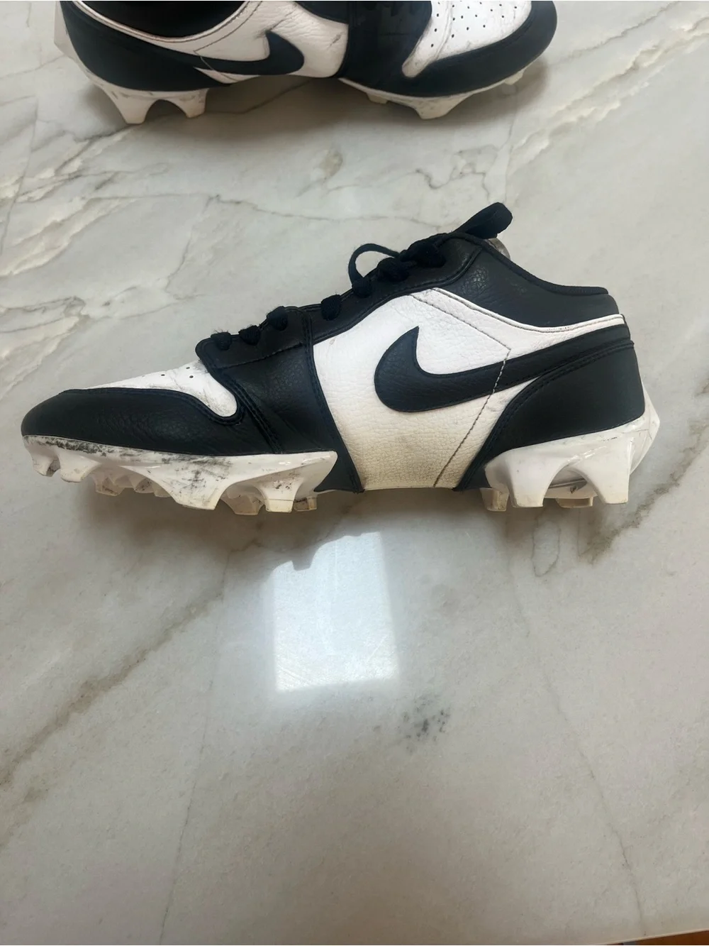 Nike youth low