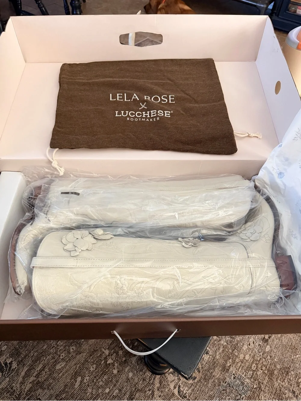 Lucchese debut captivating