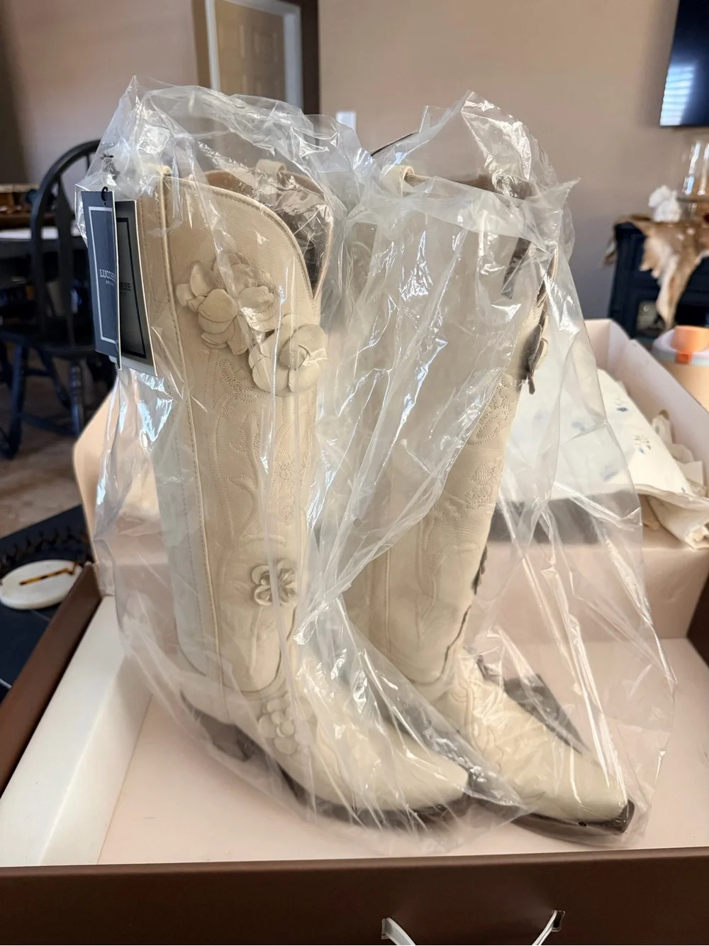 Lucchese debut currently