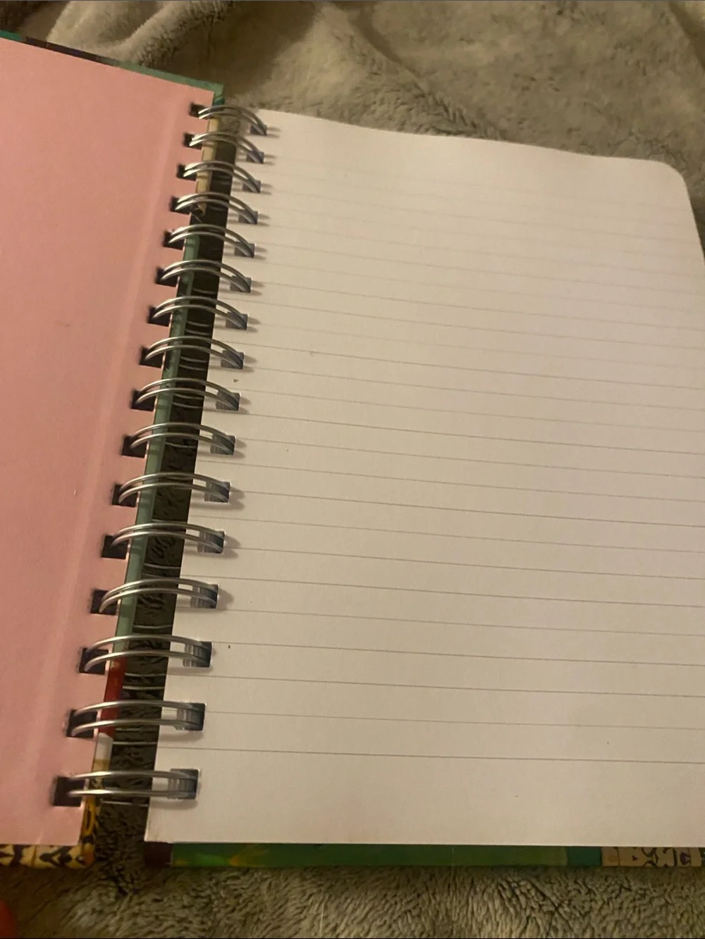 Moma spiral bound