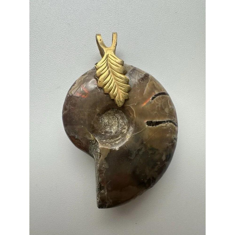 N/A iridescent ammonite