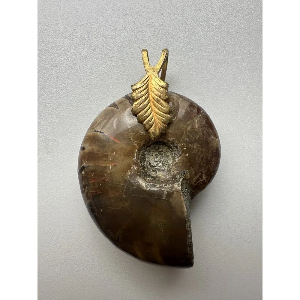 N/A iridescent ammonite