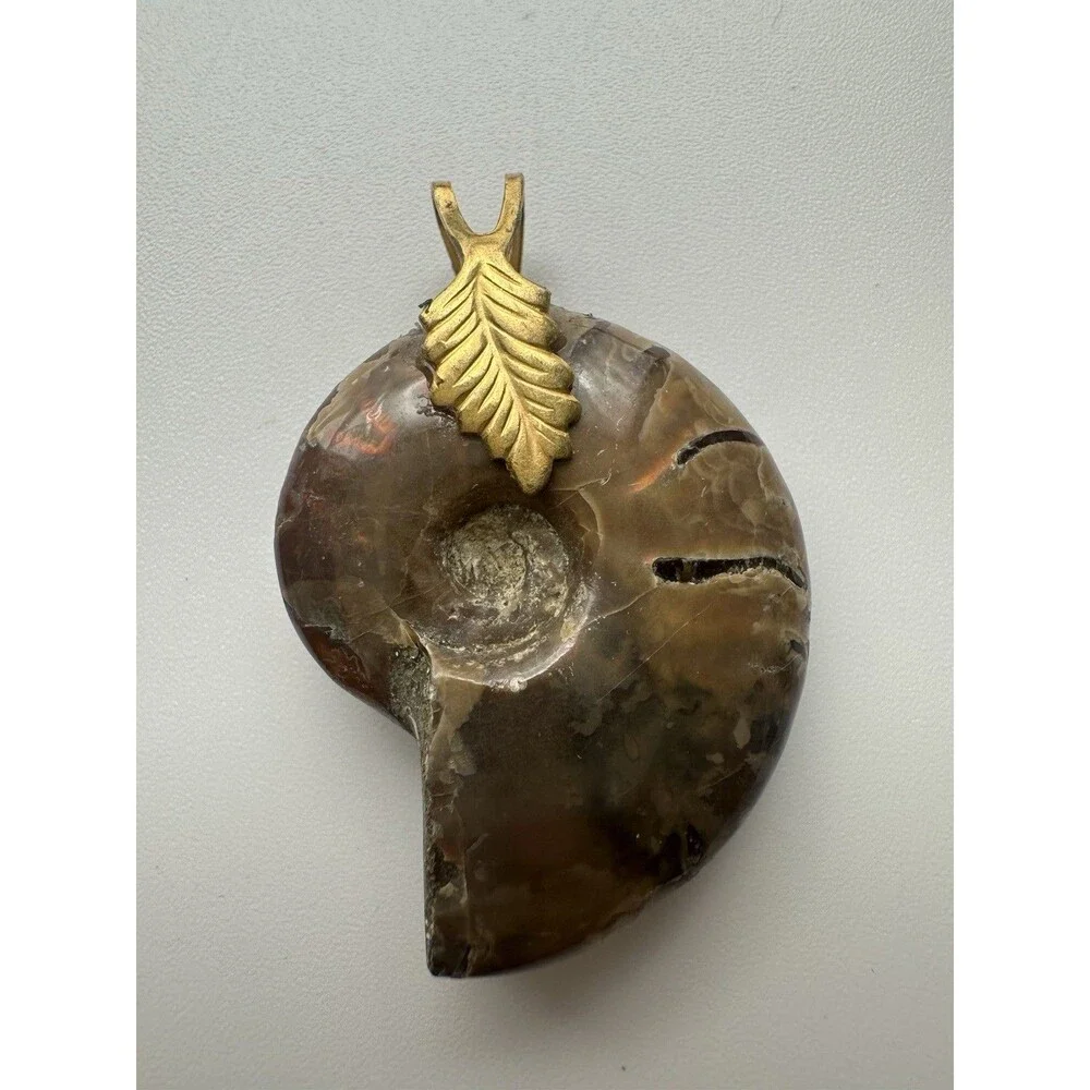 Iridescent Ammonite Fossil Pendant