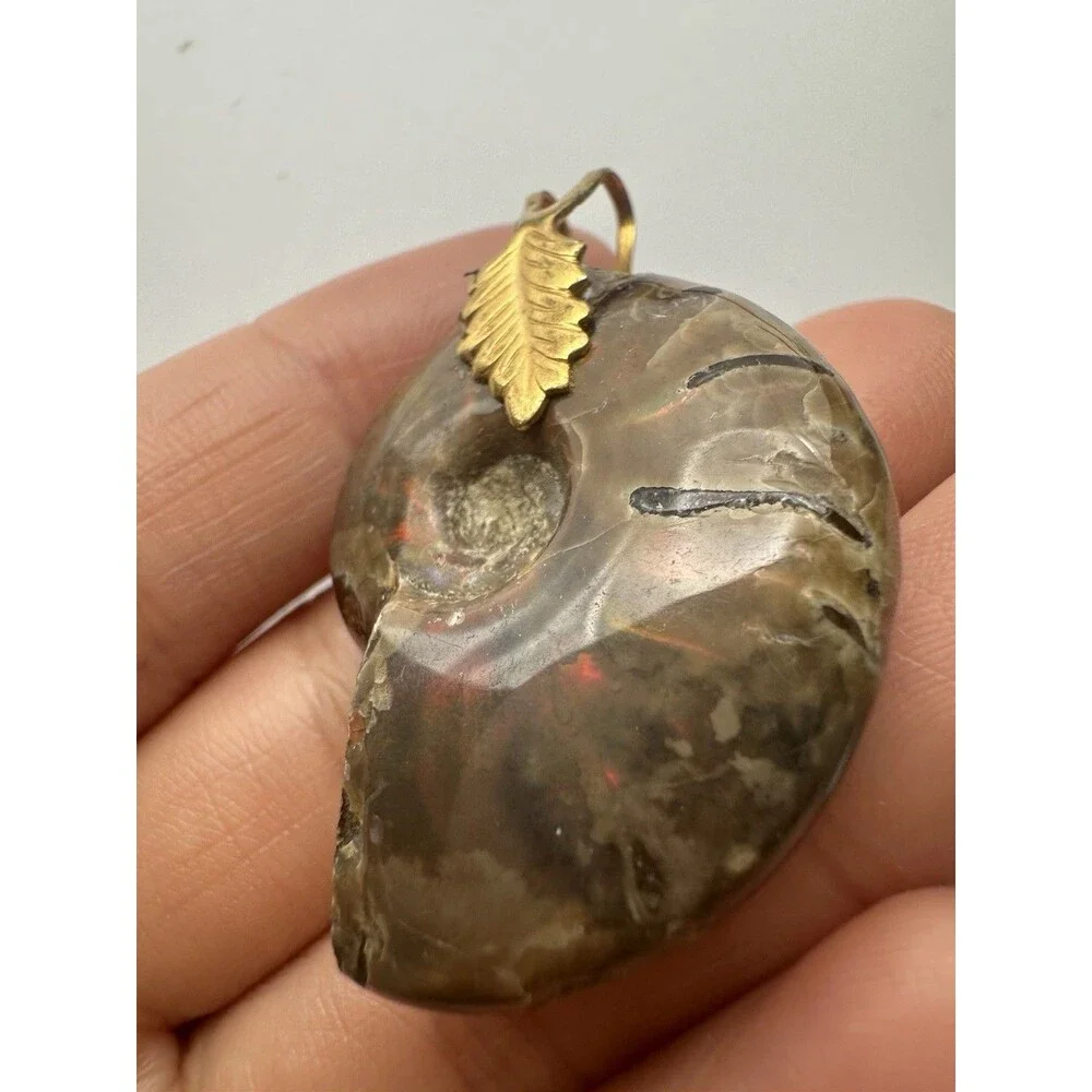 N/A iridescent ammonite